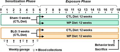 Asymptomatic sensitization to a cow’s milk protein induces sustained neuroinflammation and behavioral changes with chronic allergen exposure